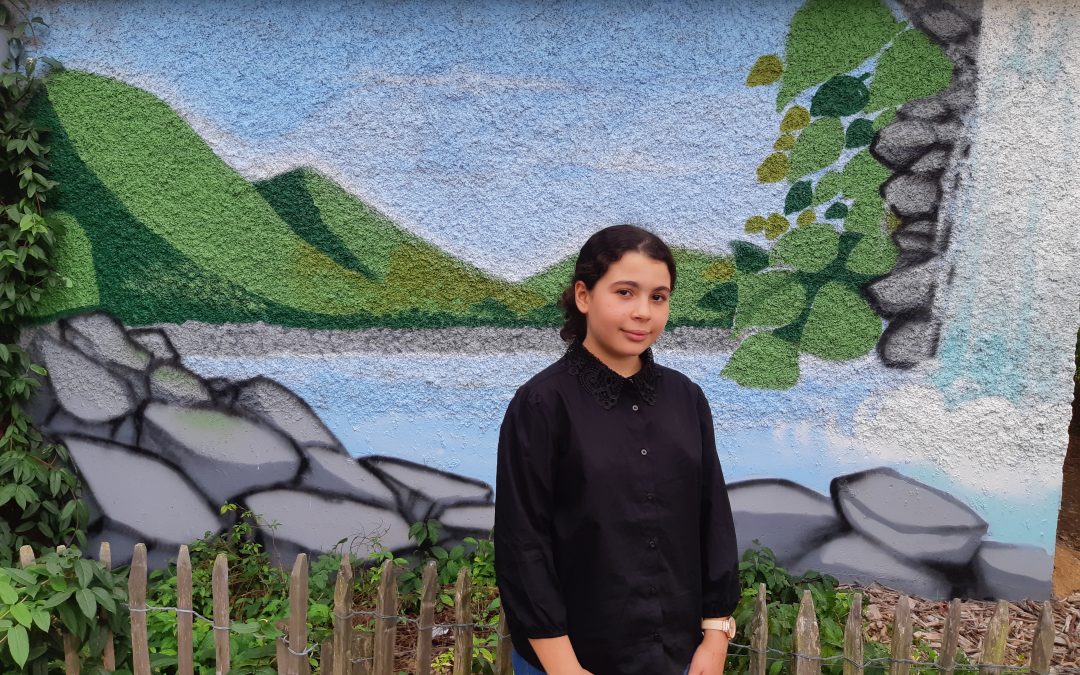 Sur un immeuble à Cenon, une fresque monumentale signée Zarb