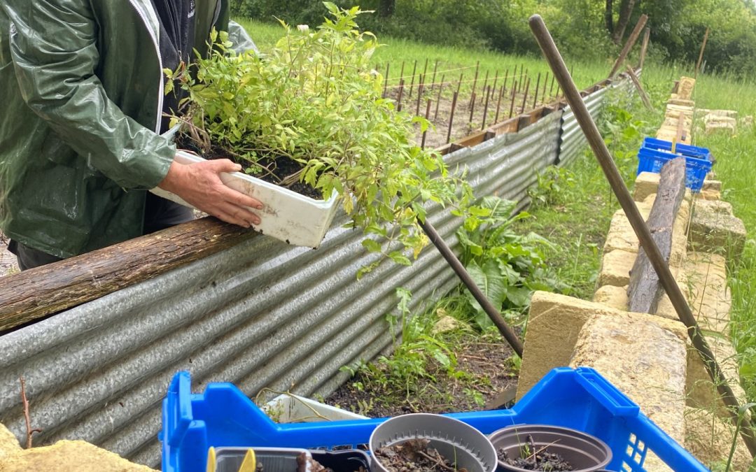 ST-SULPICE-ET-CAMEYRAC : UN JARDIN POUR FAIRE DU LIEN