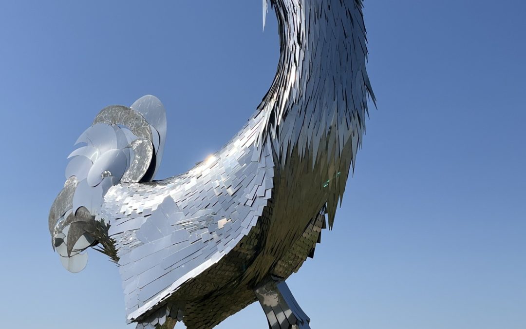 Quizz Photo – Qu&rsquo;est-ce ?