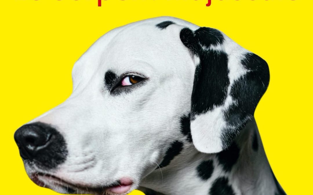 Bouquinons « Le serpent majuscule » et « Le temps des ponts »