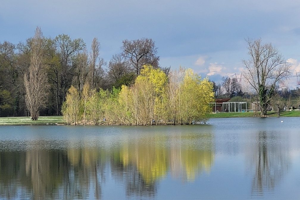 C&rsquo;est le printemps, allons marcher !